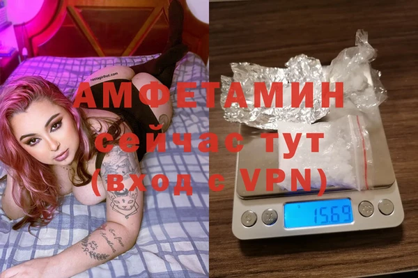 гидра Алексеевка