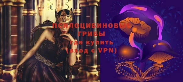 сатива Алзамай