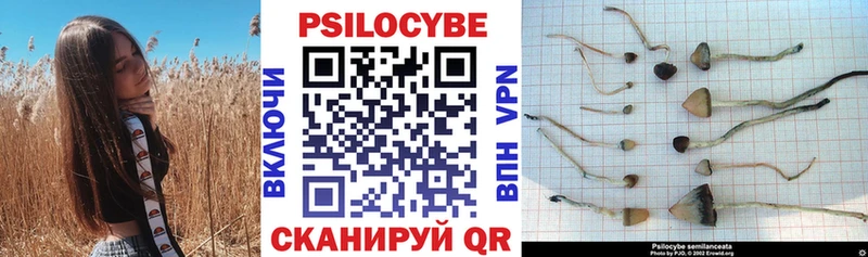 Псилоцибиновые грибы прущие грибы Удачный